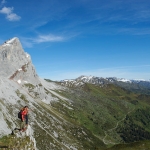 Silbergeier